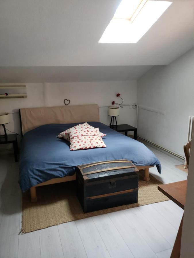 Chambre Dans Une Grande Maison Entre Canal Du Midi Et Centre Ville Béziers Esterno foto