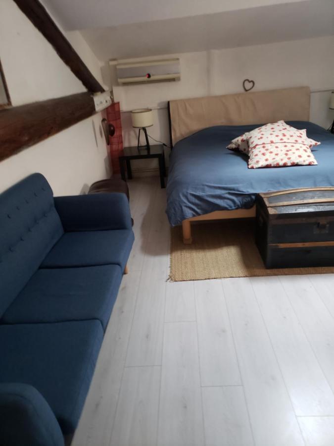 Chambre Dans Une Grande Maison Entre Canal Du Midi Et Centre Ville Béziers Esterno foto